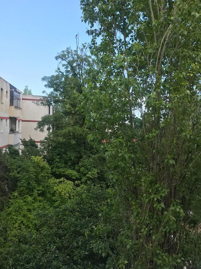 קונסטנצה Apartament Myria מראה חיצוני תמונה