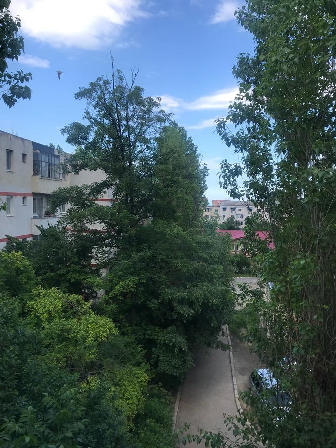 קונסטנצה Apartament Myria מראה חיצוני תמונה